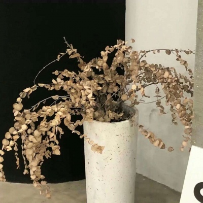 兽设动态姿势参考FurryQQ群